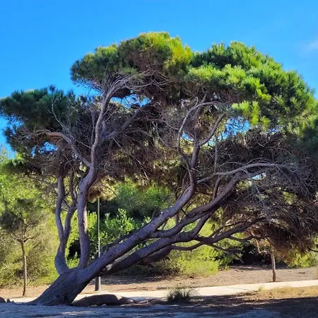 Casa De Pablo Dom wakacyjny La Mata (Torrevieja)